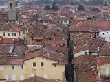 Chianti-2 2016 - 354.jpg